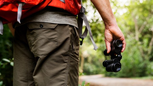 Man holding binoculars in the forest for birdwatching