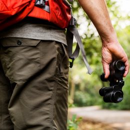 Man holding binoculars in the forest for birdwatching