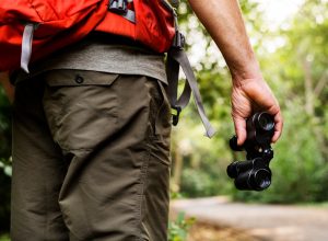 Man holding binoculars in the forest for birdwatching