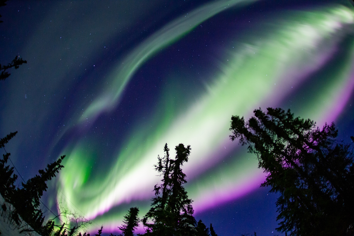 Aurora spread in the night sky in Alaska.