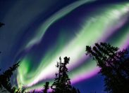 Aurora spread in the night sky in Alaska.