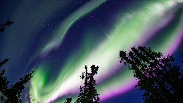 Aurora spread in the night sky in Alaska.