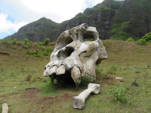 movie props at kualoa ranch