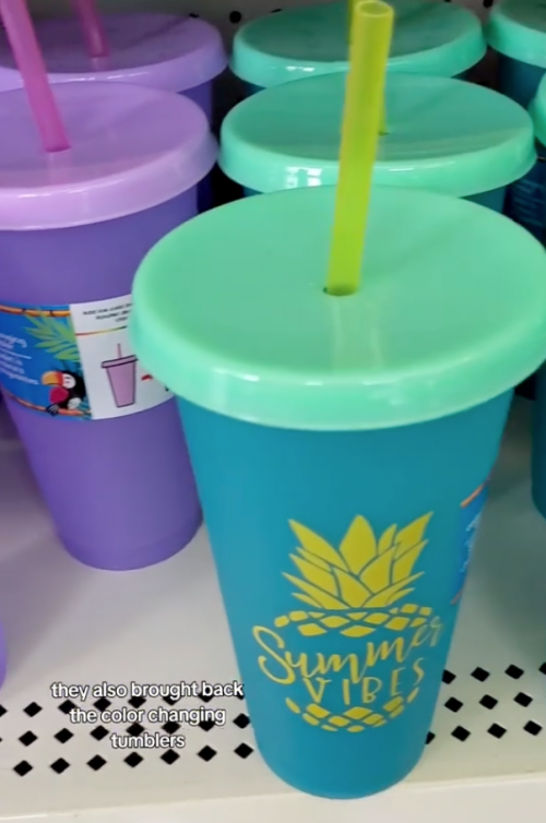 color-changing water bottles at dollar tree