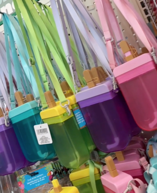 Colorful popsicle canteens at Dollar Tree