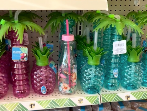 Palm tree and pineapple shaped water bottles at Dollar Tree