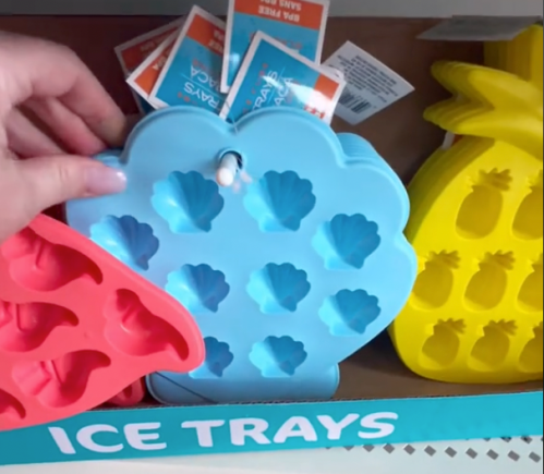 Colorful silicone ice cube trays at Dollar Tree