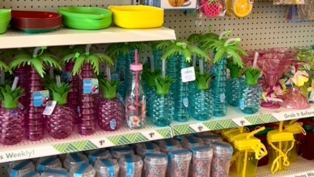 summer display at dollar tree