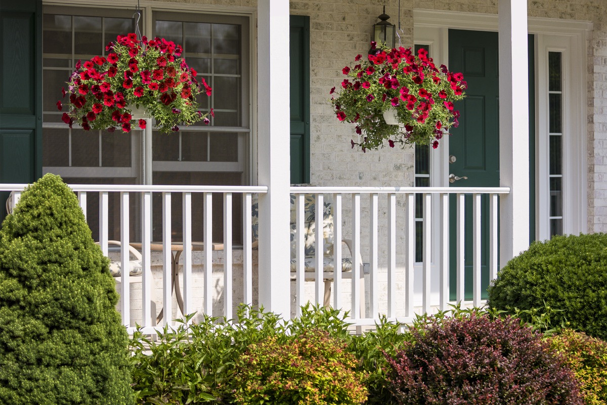A beautiful landscaped front porch with white railings and hanging baskets with red flowers.