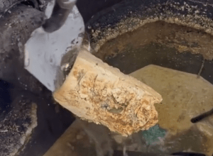 Still from a video showing a drain clogged with grease