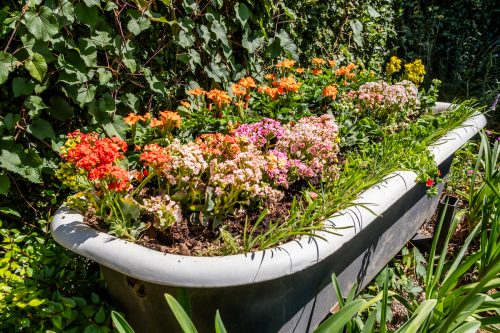 bathtub being used as a raised garden bed with flowers