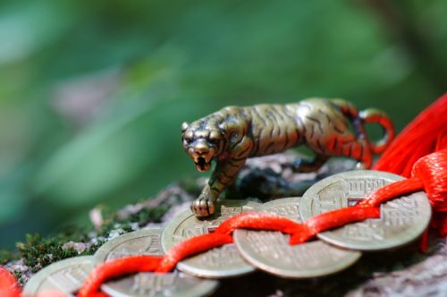 Photo of a tiger figurine with Chinese coins.