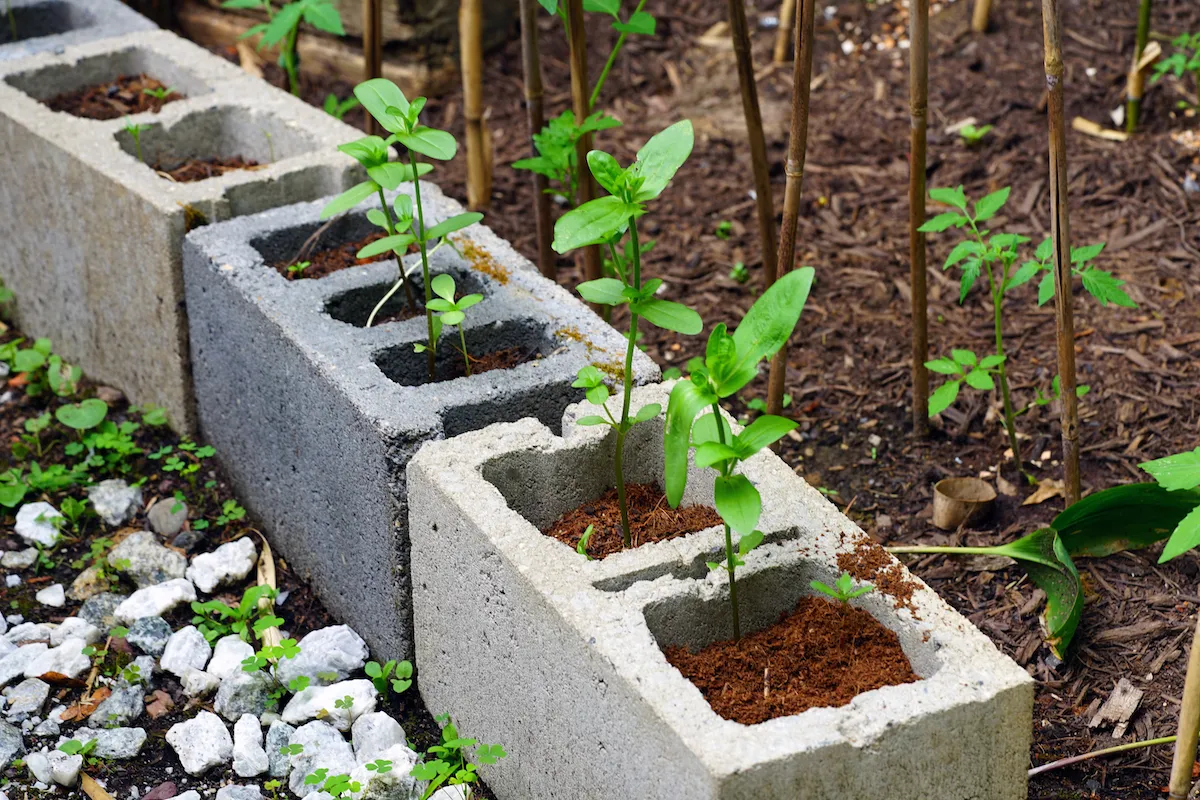 12 Raised Garden Bed Ideas to Upgrade Your Outdoor Space — Best Life