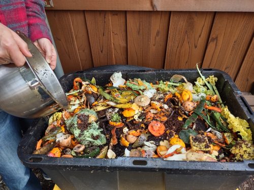 Man emptying kitchen waste in to a compost bin with layers of organic matter and soil. Environmentally friendly lifestyle. The man throws leftover vegetables into compost bin from the bowl.