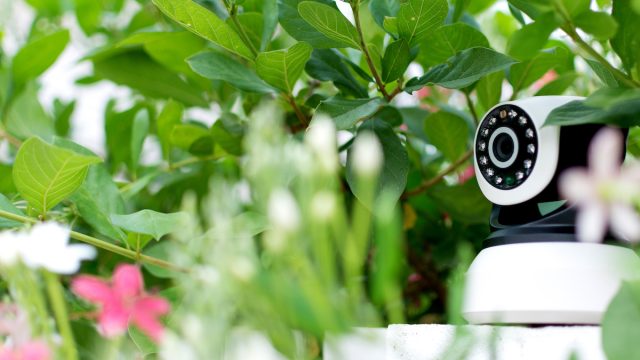 hidden CCTV camera in an outdoor plant