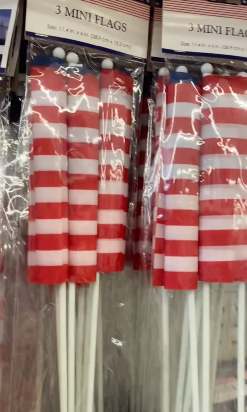 American flags at Dollar Tree