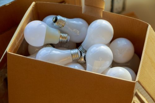 Packed rows of light bulbs in cardboard box