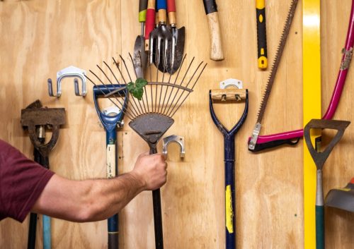 Man's arm takes lawn and leaf rake off wooden wall with various hanging DIY garden tools inside shed. Tools include shovel, hammer, fork, trowel, spirit level measure, saw etc.