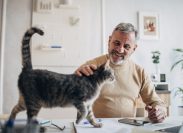 A man petting a cat walking across his desk