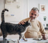 A man petting a cat walking across his desk