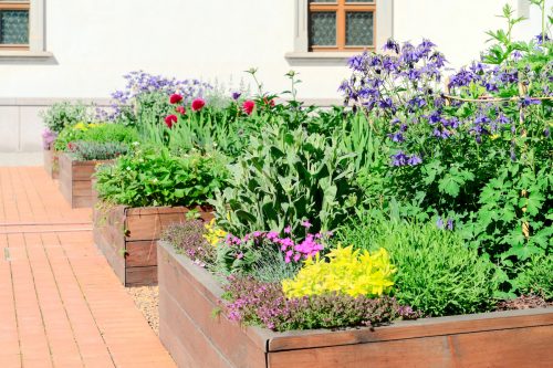 row of raised garden beds with flowers