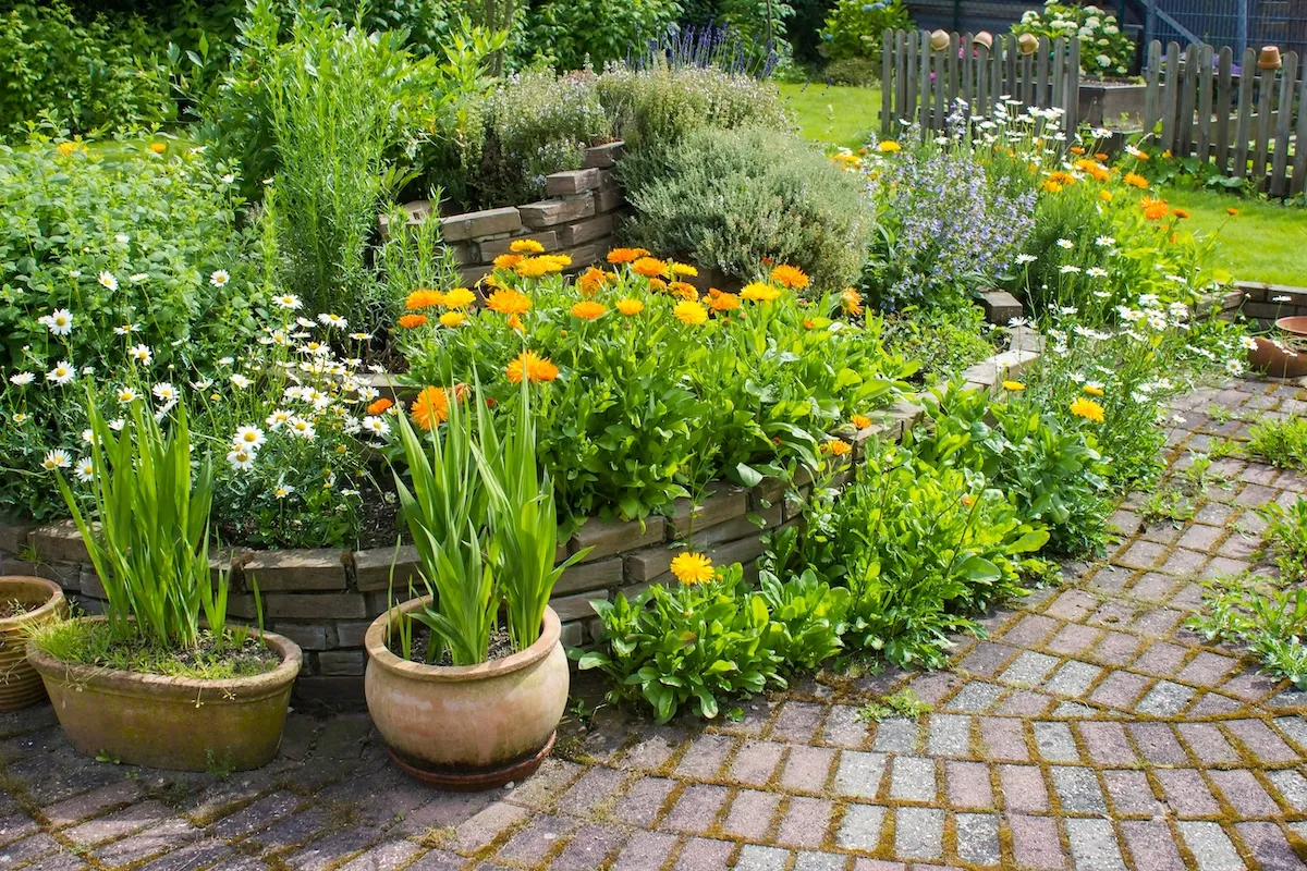 12 Raised Garden Bed Ideas to Upgrade Your Outdoor Space — Best Life