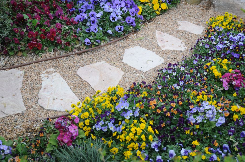 A stone gravel walkway in a garden