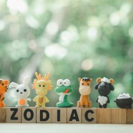 toy animals representing the chinese zodiac