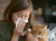woman sneezing while holding orange cat