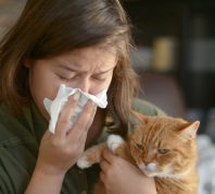 woman sneezing while holding orange cat