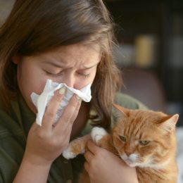 woman sneezing while holding orange cat