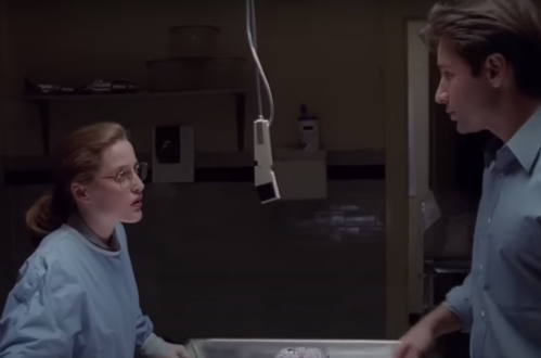 Gillian Anderson and David Duchovny on The X-Files