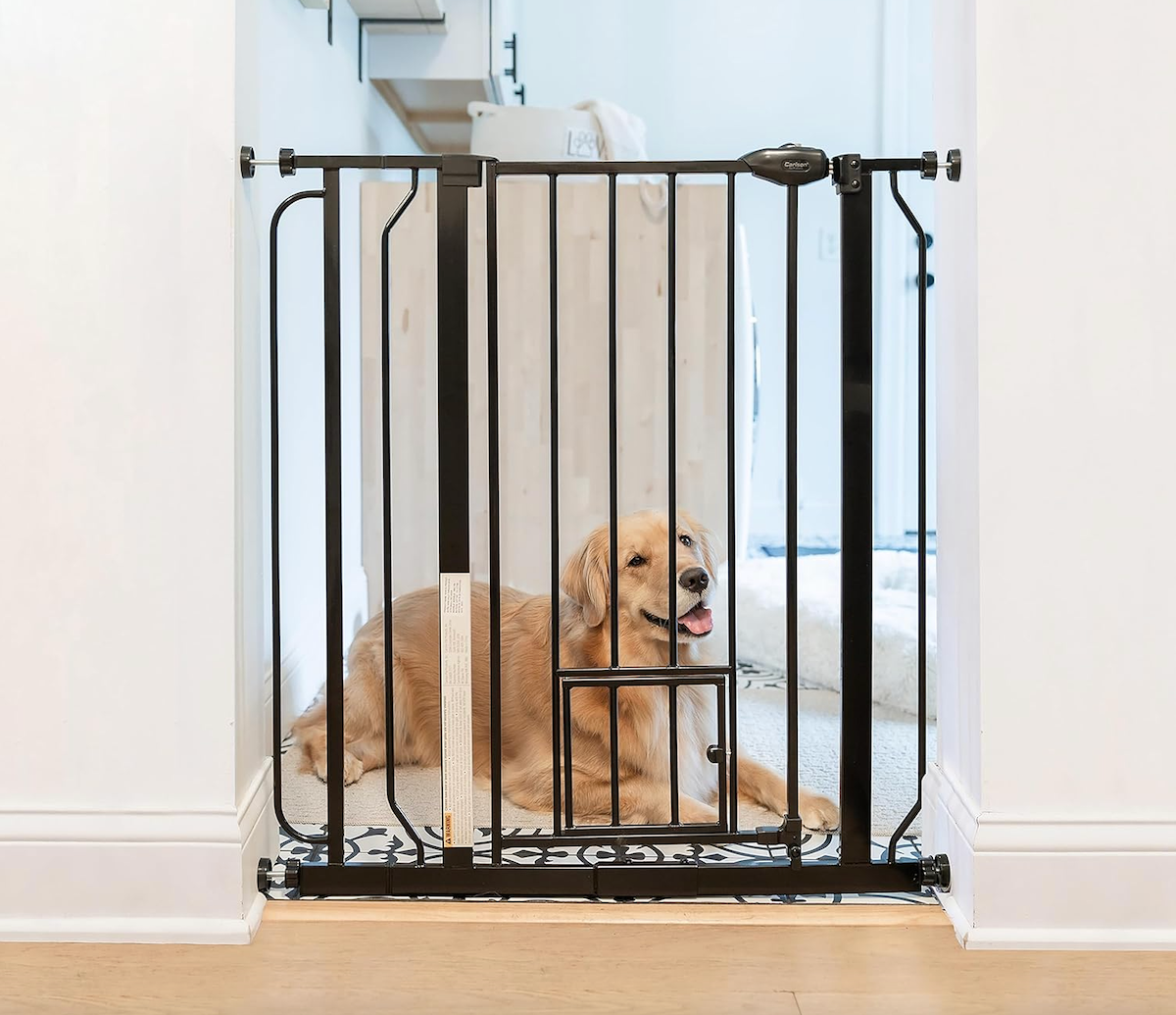 Carlson Extra Tall Walk Through Pet Gate