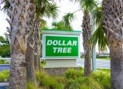 Dollar Tree sign among palm trees