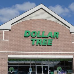 Brick dollar tree store