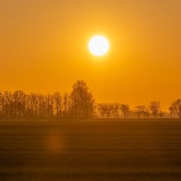 intense sunset caused by Saharan dust