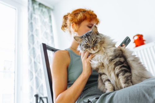 Spending time with your cat. Attractive red-haired teen girl, sits together with cat at table, uses smartphone, uses laptop, spends time with pet
