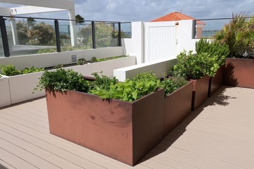 A rooftop home garden in a condo using planters on a raised deck.