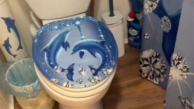 Still from a TikTok video showing a bathroom decorated in dolphin decor from Temu