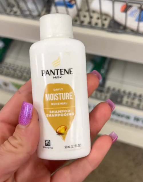 Pantene shampoo at Dollar Tree