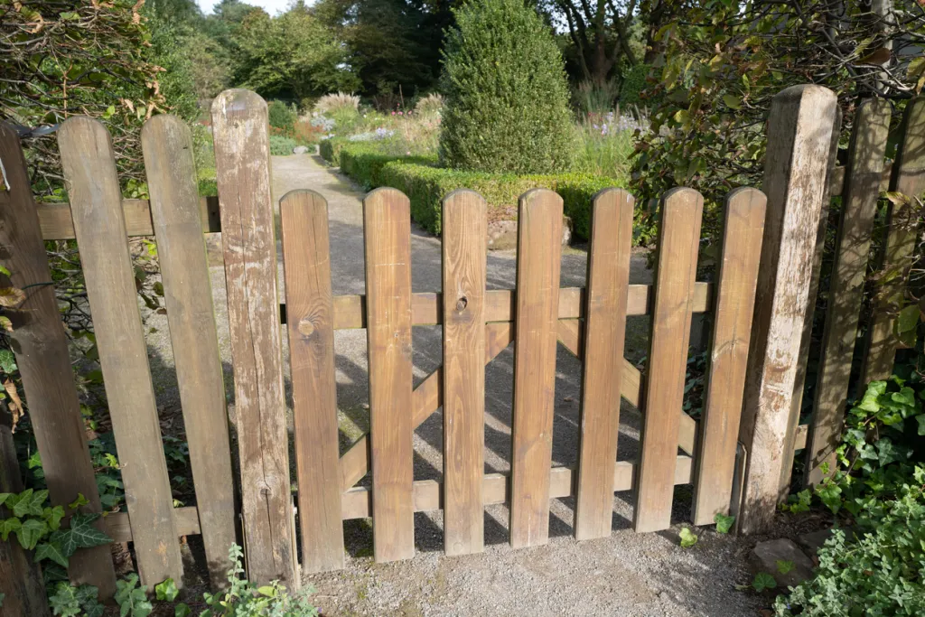 A wooden fence in a garden