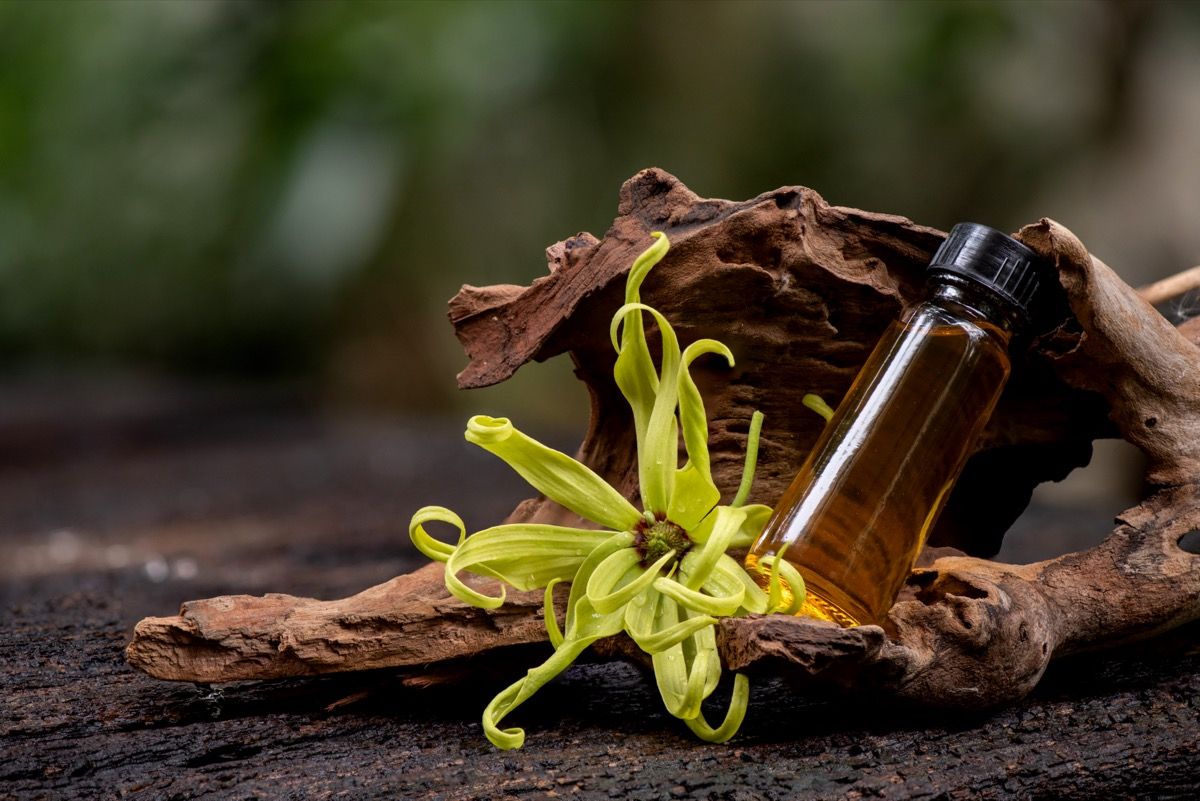 vaj esencial ylang ylang