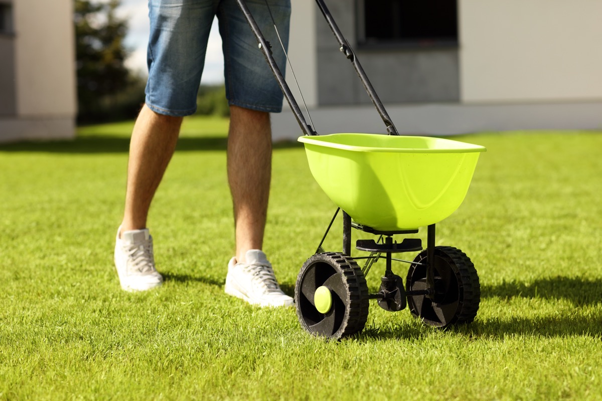 Picture of young man seeding grass in the backyard