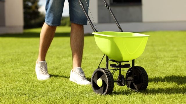 Picture of young man seeding grass in the backyard