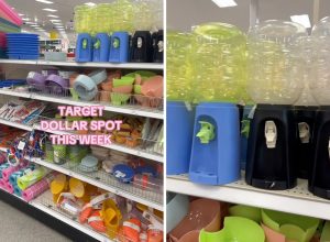 Target Pet Water Feeders