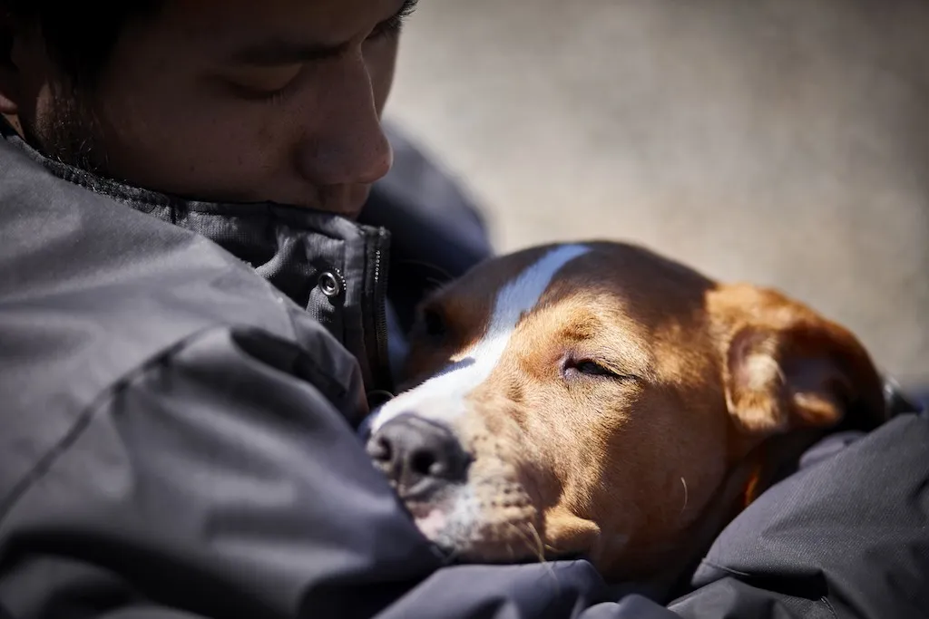 closeup of a man hugging his dog