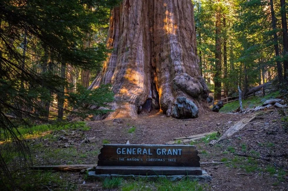 Sequoia National Park, General Grant Tree.
