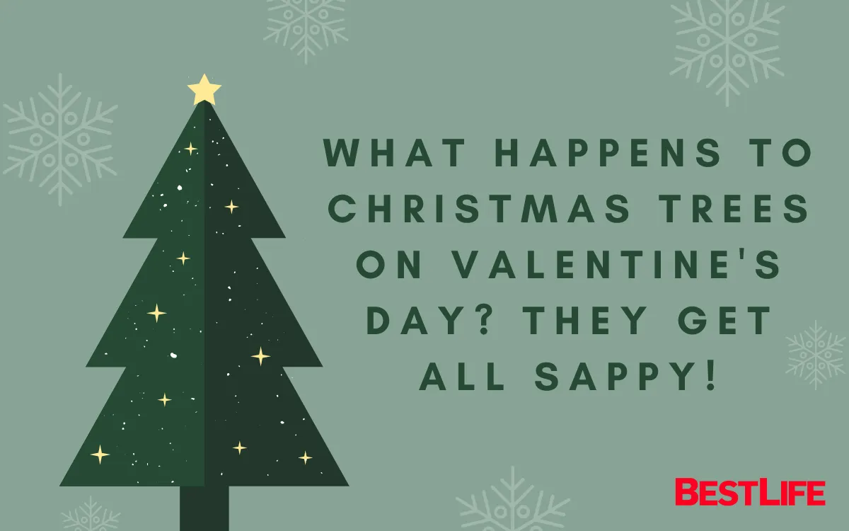 christmas tree jokes