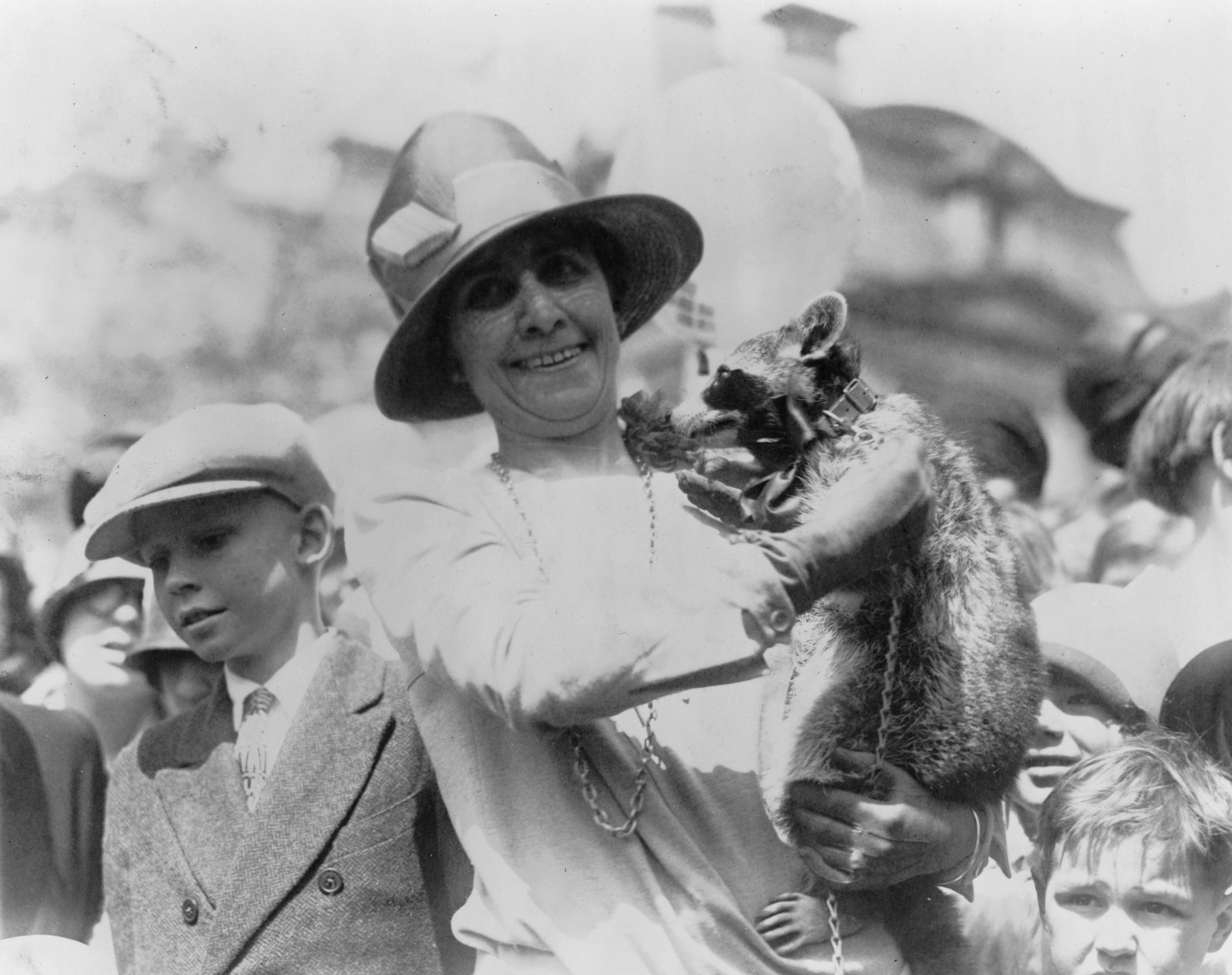 First Lady Grace Coolidge holding up her pet raccon Rebecca