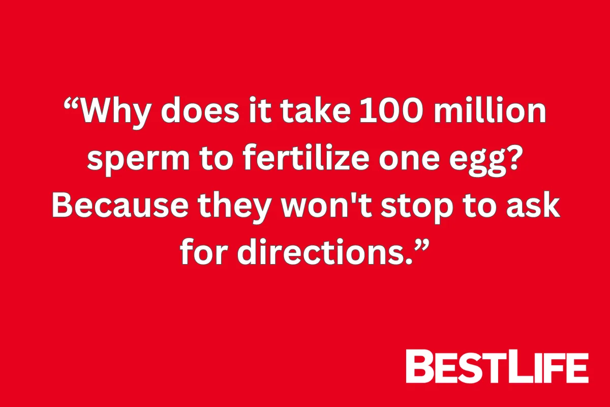 sex jokes for adults only